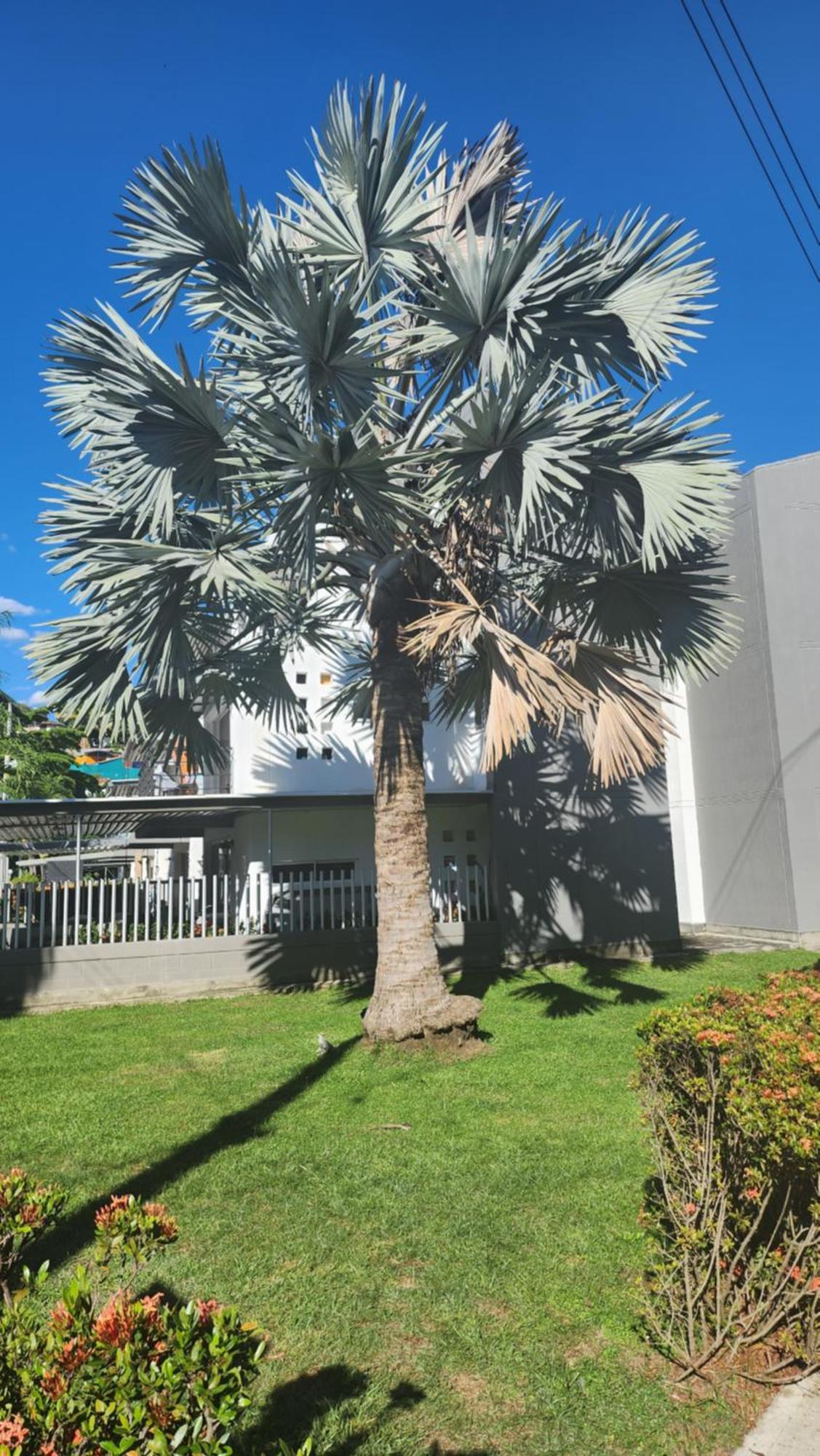 Apartasol Club Ciudadela Santa Fe - Santa Fe De Antioquia Eksteriør bilde